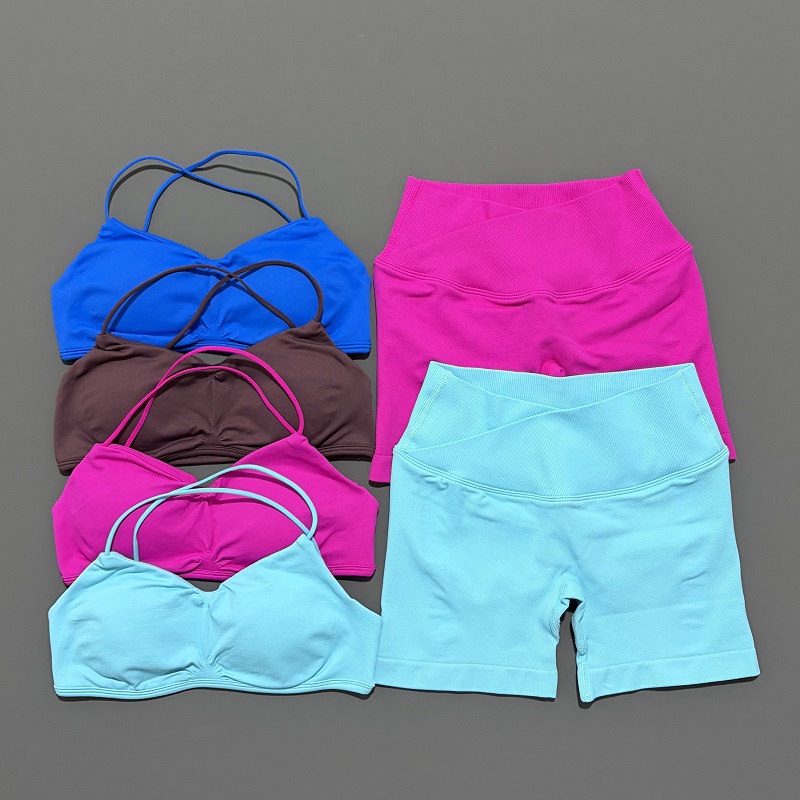2ピース ビジョンジムセット レディース ヨガ クロップトッ - Yoga Fitness Set のレビューと価格